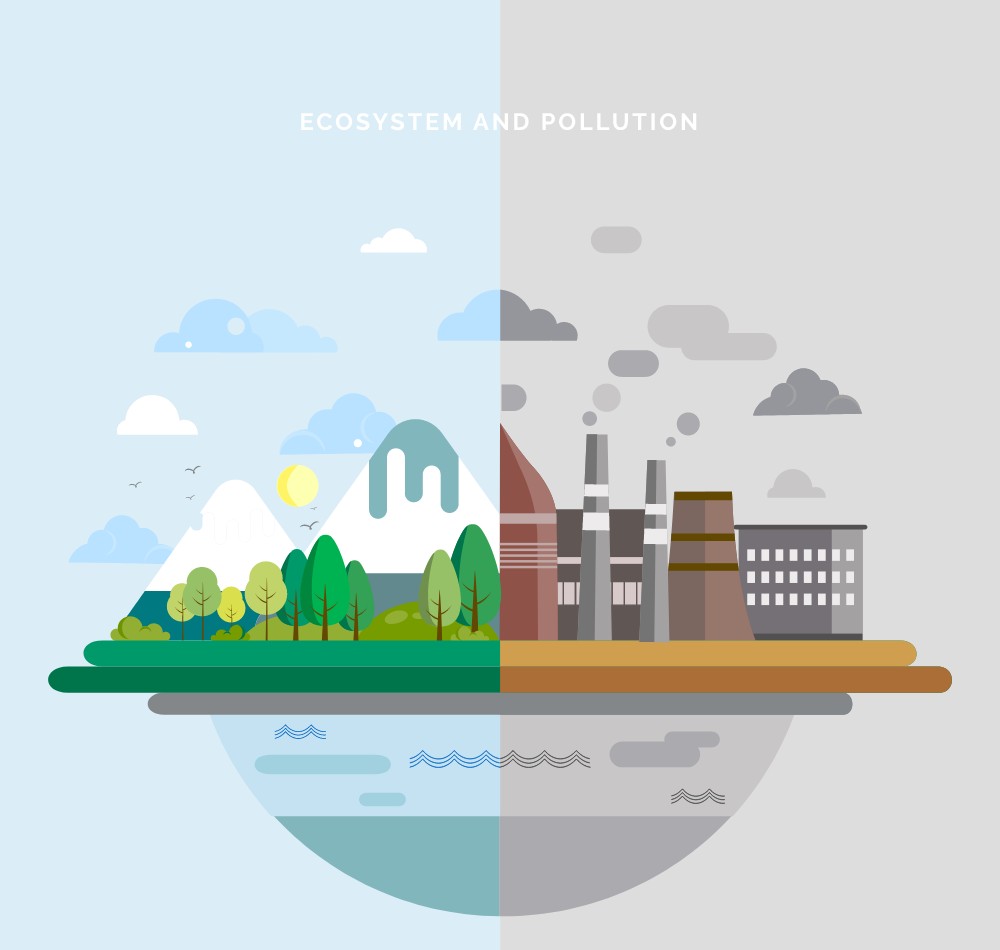 Construction Industry's Role in Environmental Change